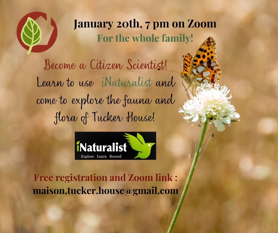 January 20th, 7 pm on Zoom iNaturalist