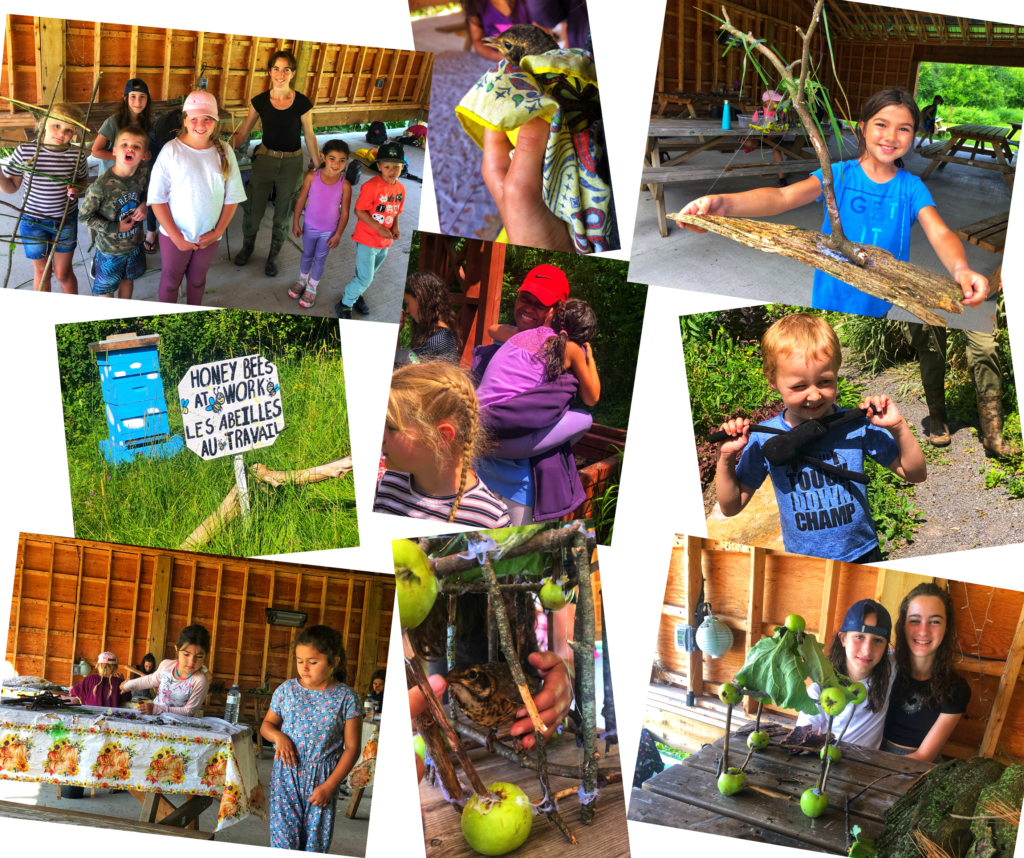 Summary July 11th to July 15th / Summer Camp 2022 (Theme Gardening