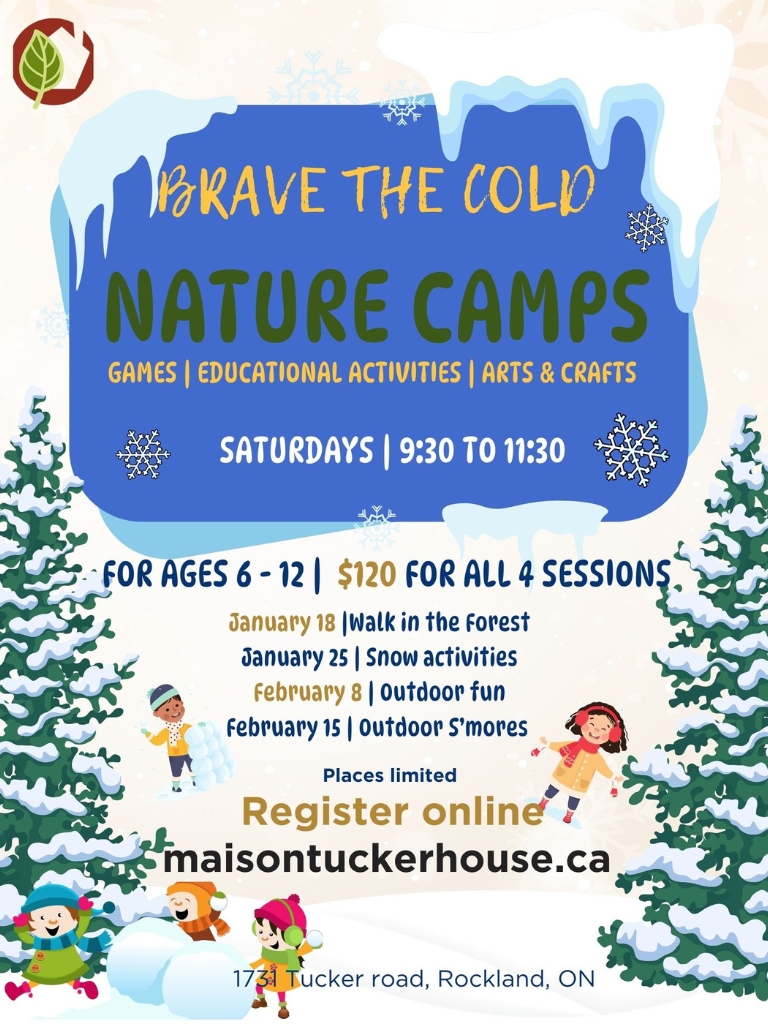 Nature camps