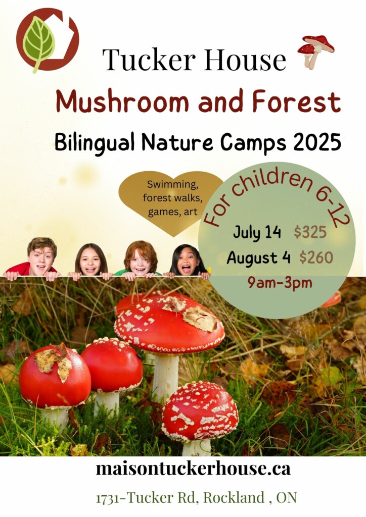 mushroom and forest summer camp at tucker house in rockland