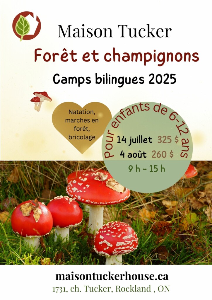 camp d'été forêt et champignons à la maison tucker à rockland, ontario