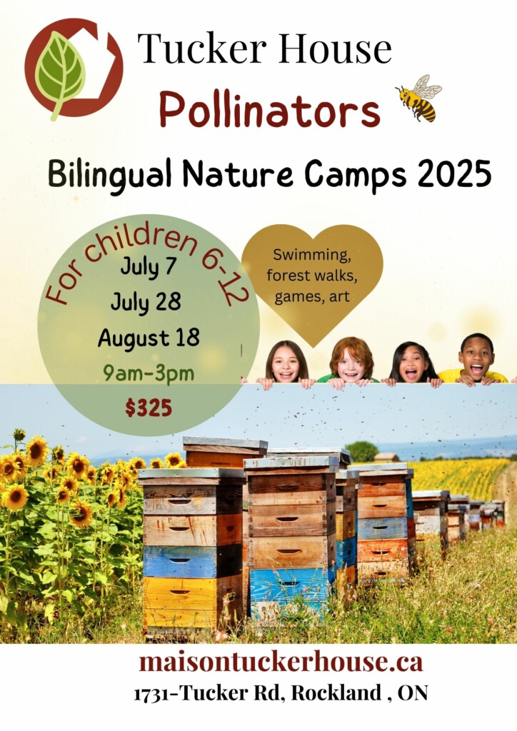 pollinators summer camp at tucker house in rockland