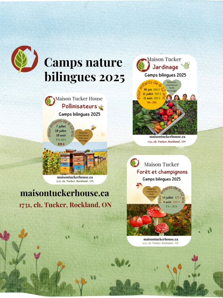 Camps Nature Bilingues