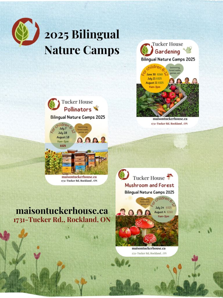 Nature Camps