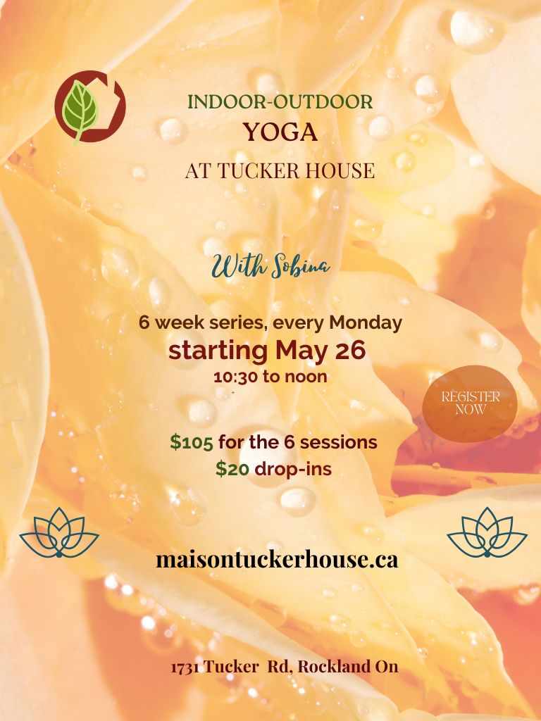 tucker house summer yoga