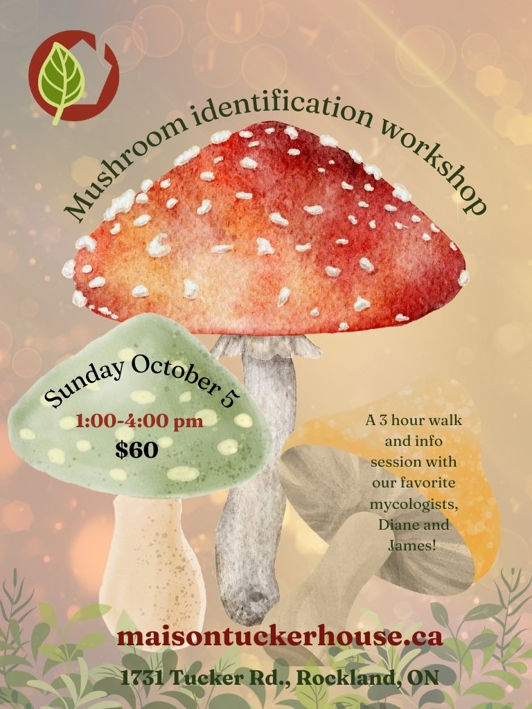 Mushroom Identification Workshop at Tucker House in Rockland, Ontario