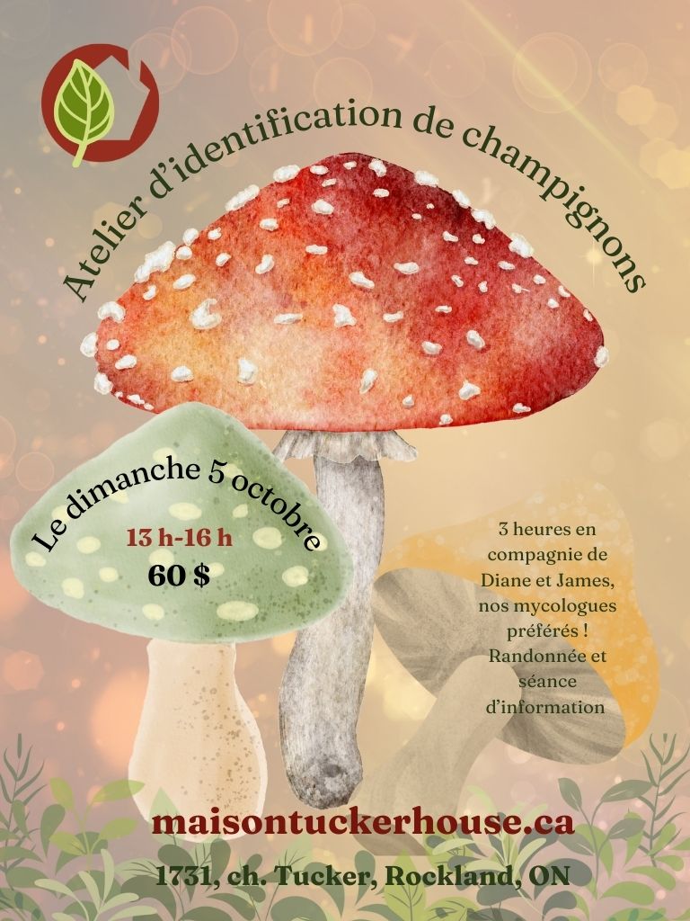 Atelier d'identification des champignons à la Maison Tucker de Rockland