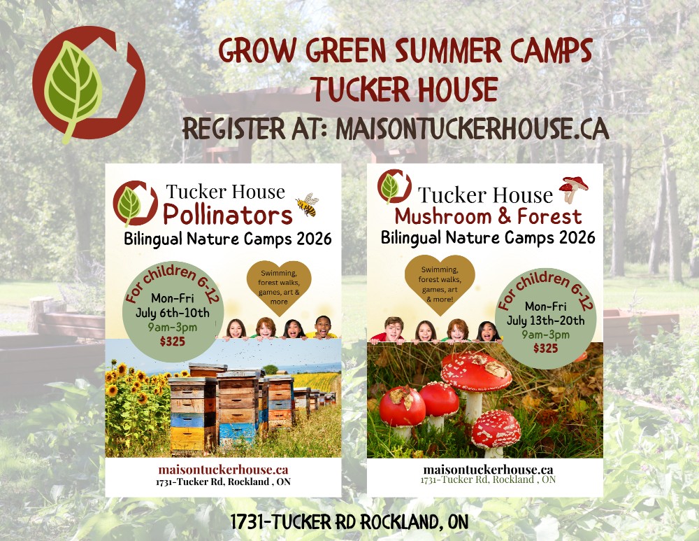 tucker house summer camps in rockland
