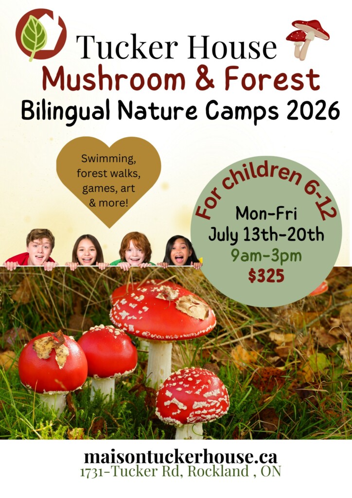 Mushroom and forest summer Camps at Tucker House in rockland