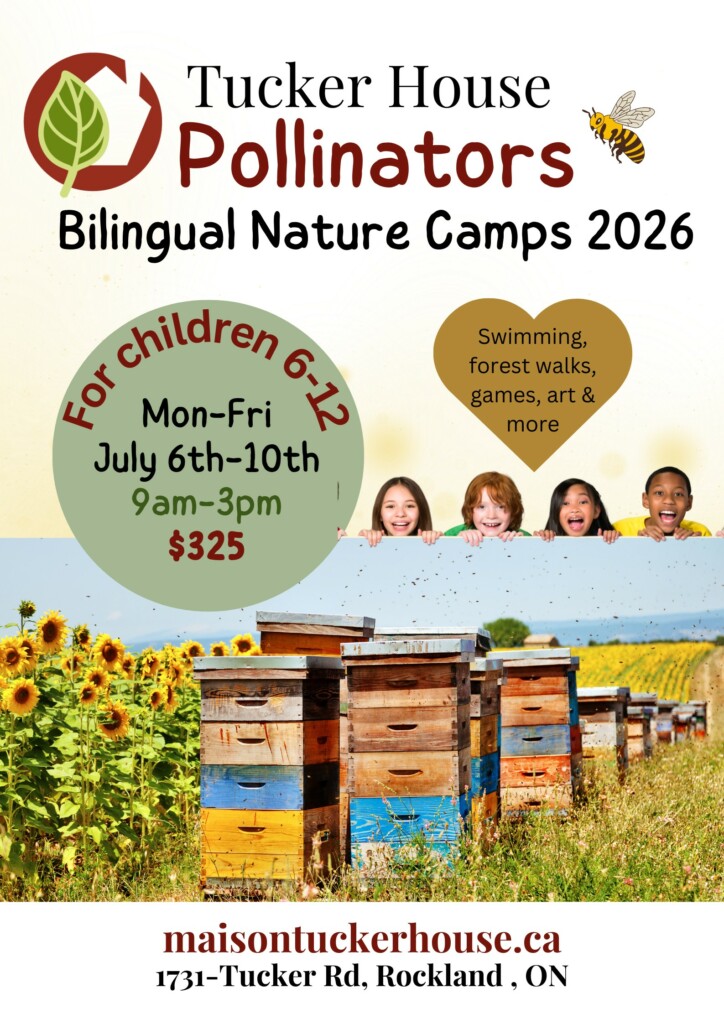 Pollinator week of the Grow Green Camps at Tucker House