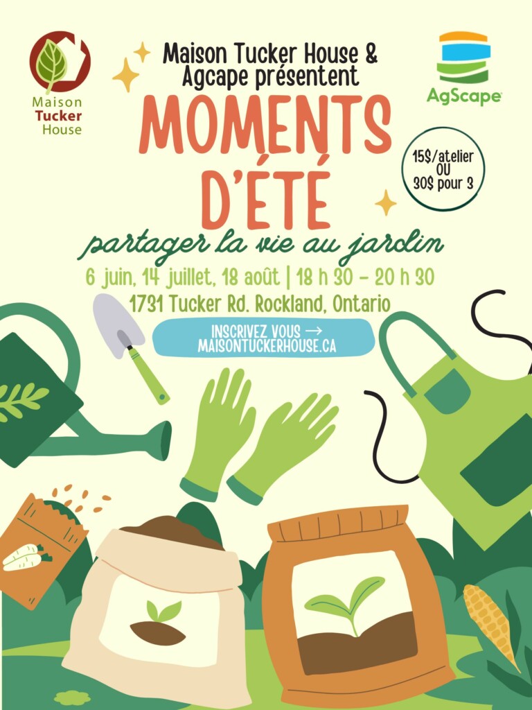 moments d'été