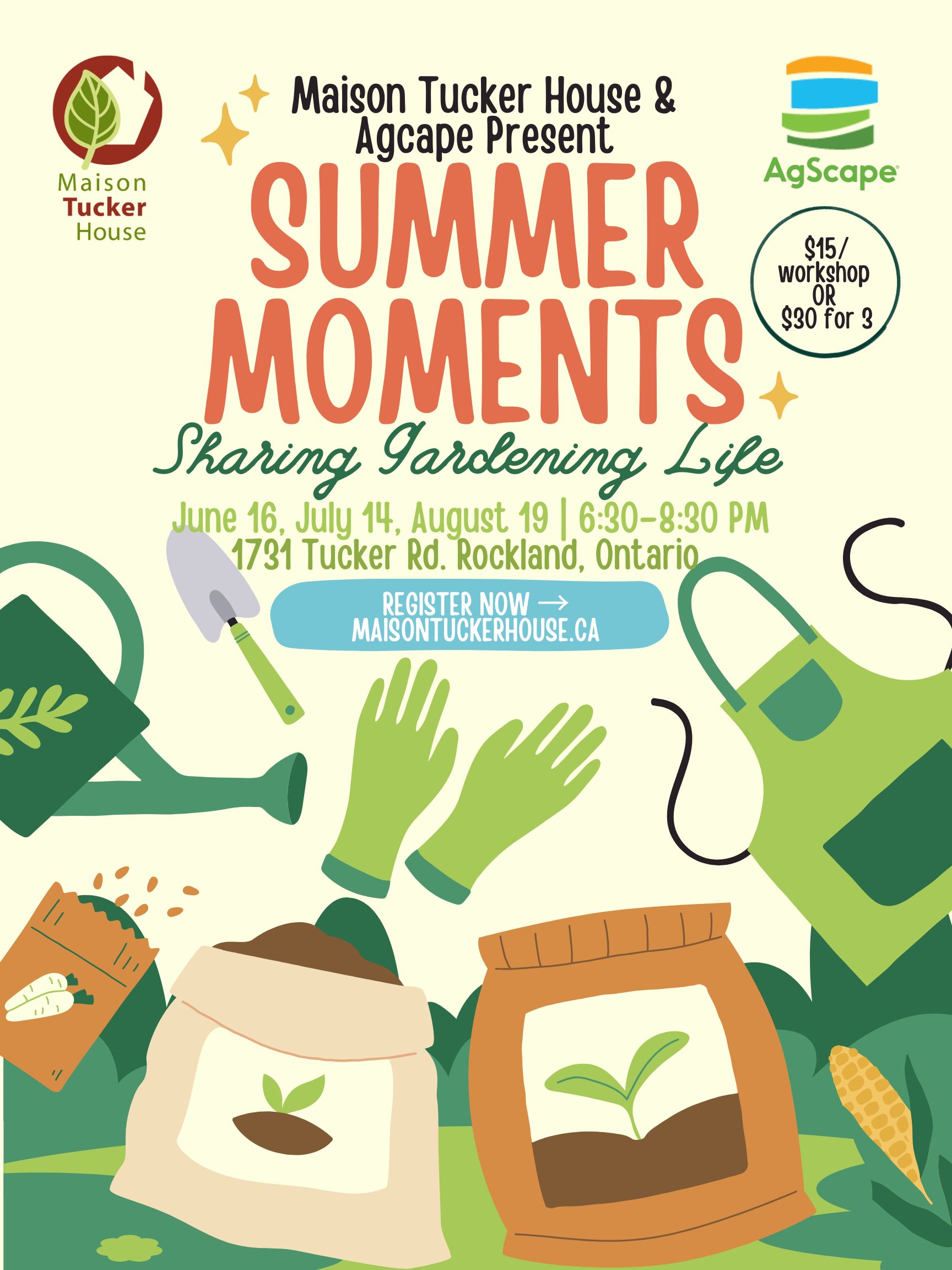 Summer Moments Series