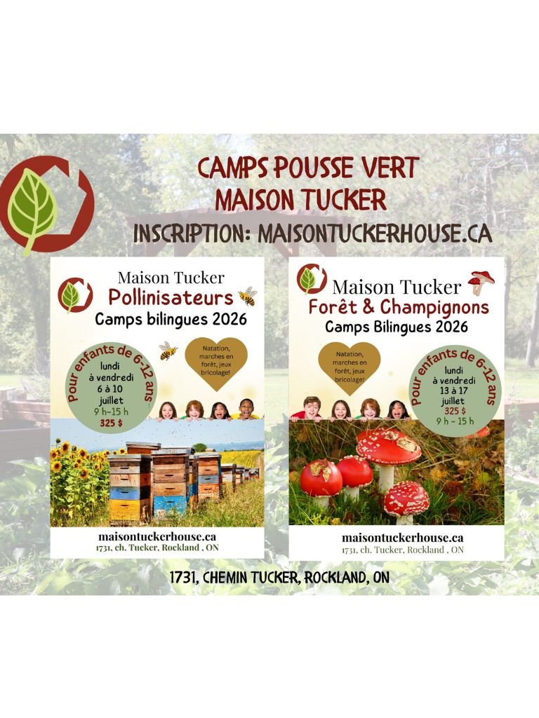 Camps d&rsquo;été bilingues