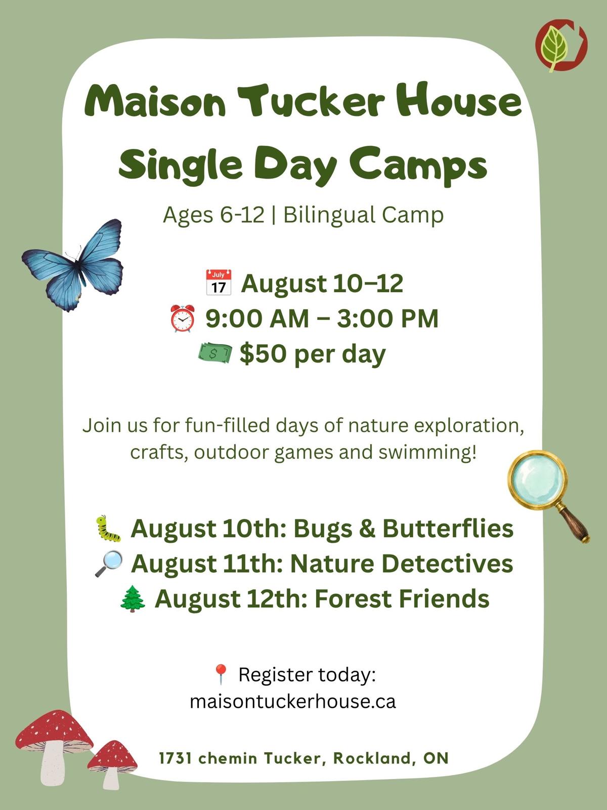 Single Day Camps
